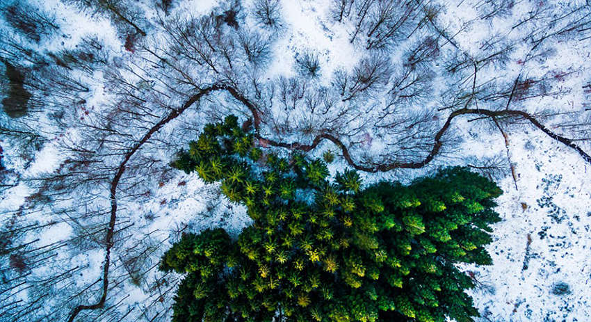 2016? ?? ???? ???, ?? ?? ???