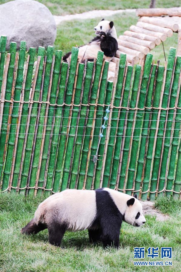 ?????? ??? ?? ? ?, ??? ?? ??