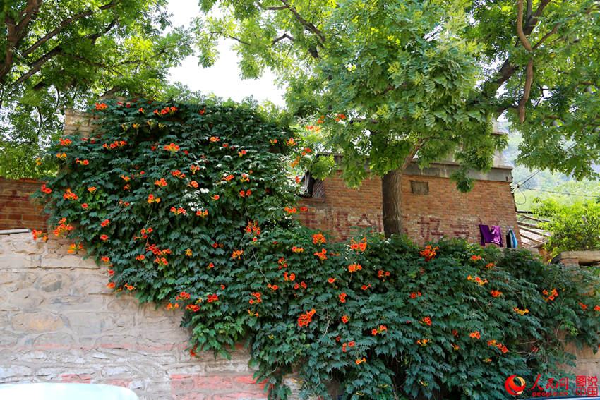 ??? ? ??? ?? ???, ??? ??? ??