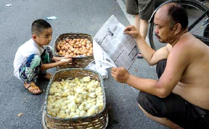 ?? 50? ?? ??, ??? ???