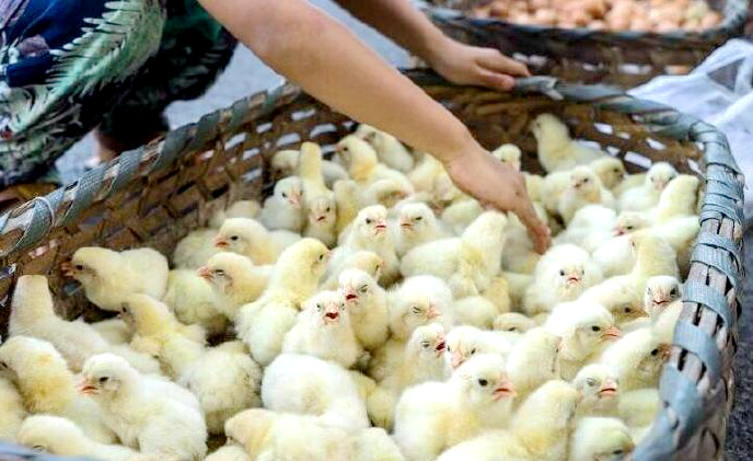 ?? 50? ?? ??, ??? ???