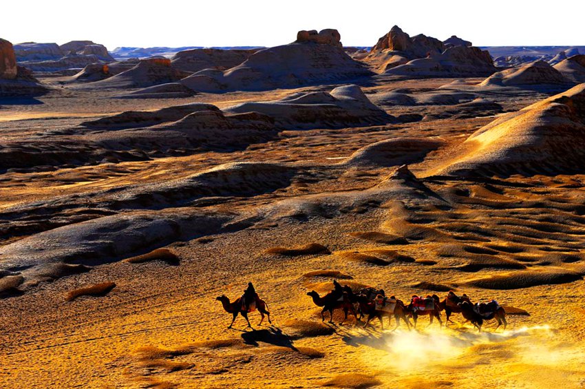 8? ??? ?, ?? ‘???’ ?? ??? ??