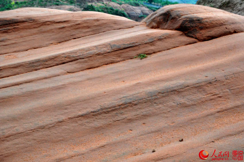 ??? ?? ??? ????, ‘?? ???’