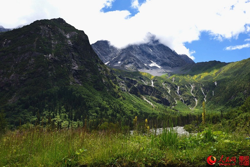 ?????, ???? ??? ‘??? ???’