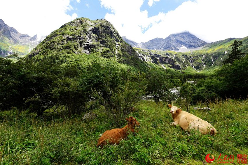 ?????, ???? ??? ‘??? ???’