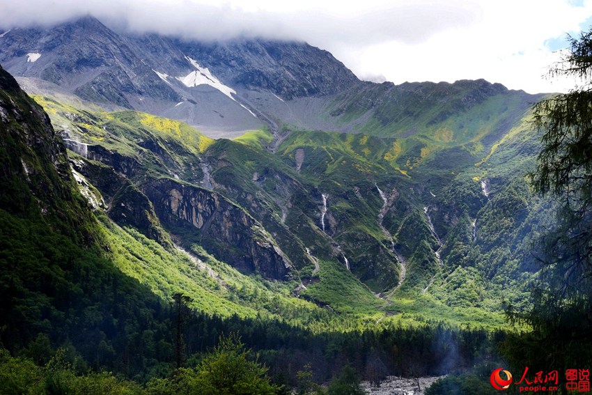 ?????, ???? ??? ‘??? ???’