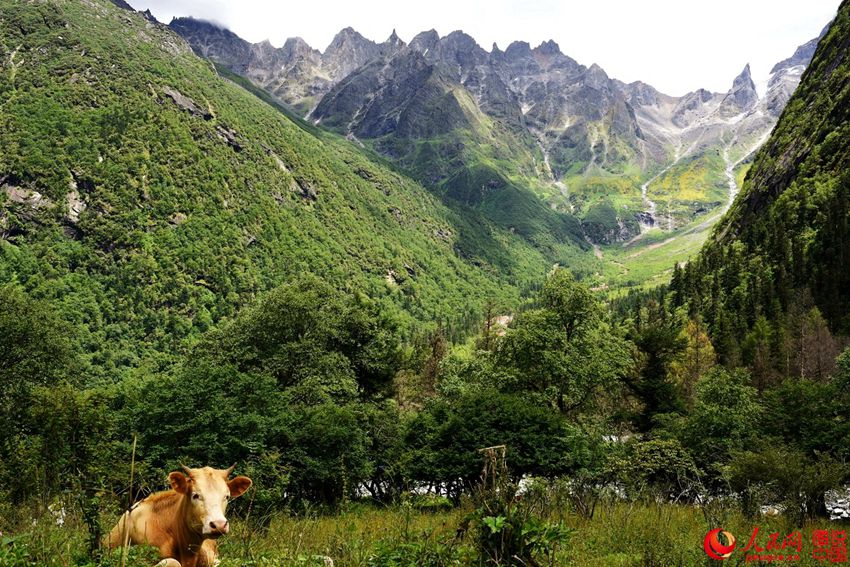 ?????, ???? ??? ‘??? ???’