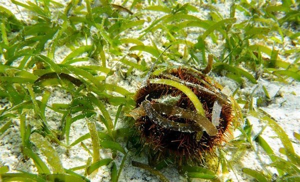 ??? ???! ??? ?? ?? ?? ???? ???