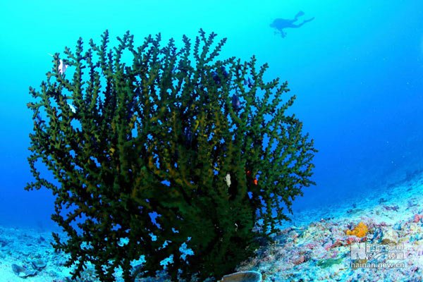 ??? ???! ??? ?? ?? ?? ???? ???