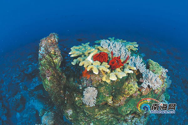 ??? ???! ??? ?? ?? ?? ???? ???