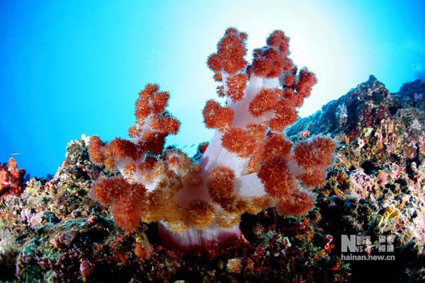 ??? ???! ??? ?? ?? ?? ???? ???