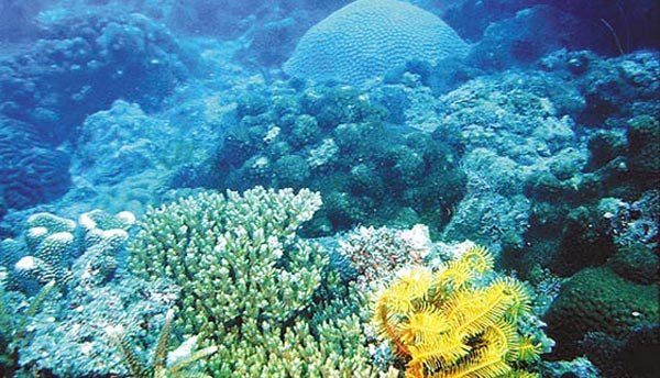 ??? ???! ??? ?? ?? ?? ???? ???