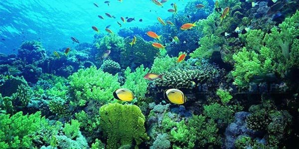 ??? ???! ??? ?? ?? ?? ???? ???