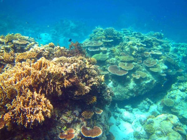 ??? ???! ??? ?? ?? ?? ???? ???