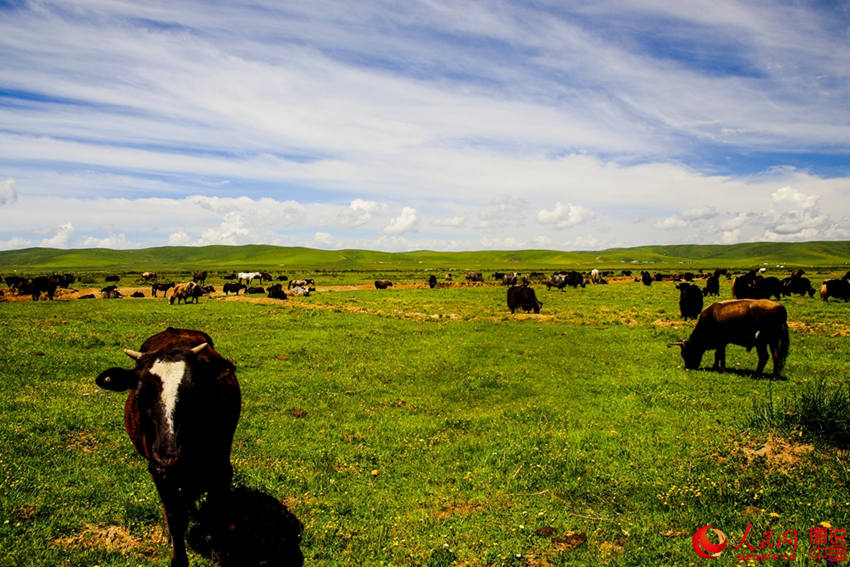 ??? ?? ???? ???? ??, ?? ??!