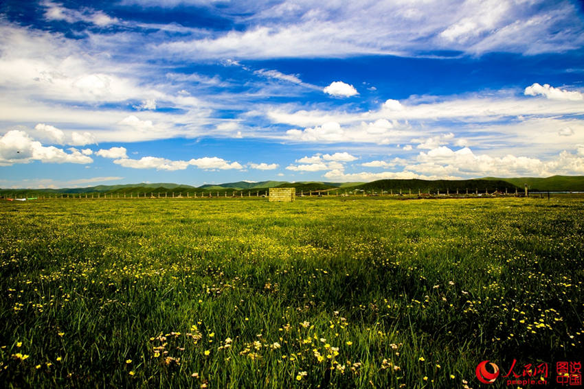 ??? ?? ???? ???? ??, ?? ??!