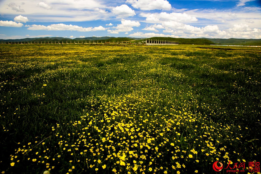 ??? ?? ???? ???? ??, ?? ??!