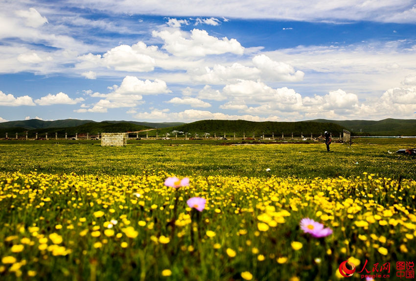 ??? ?? ???? ???? ??, ?? ??!