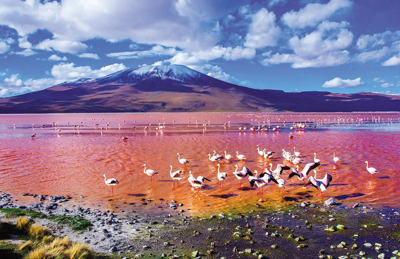 ???? ??? ???? ???? ???? ??