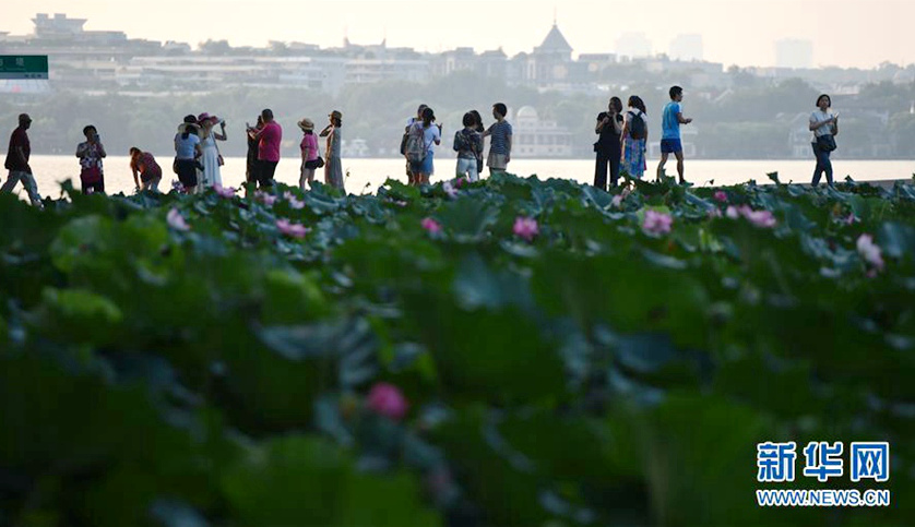 ??? ??? ???? ??? ?? ??