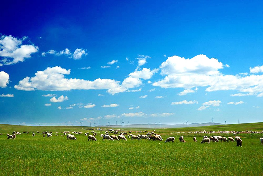 ???, ???? ????? ???? ???!