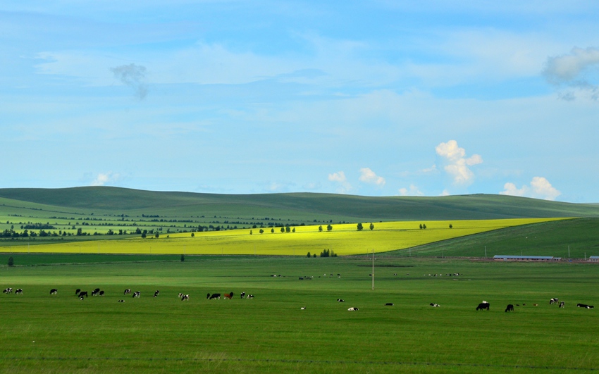 ???, ???? ????? ???? ???!