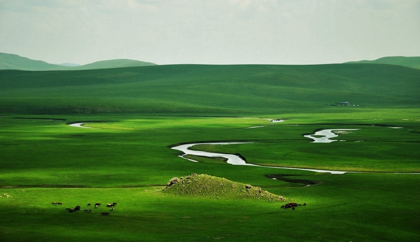 ???, ???? ????? ???? ???!