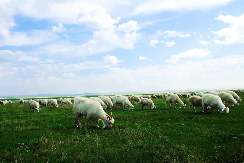 ???, ???? ????? ???? ???!