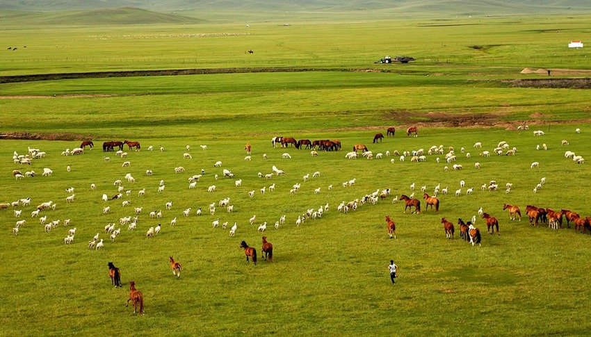 ???, ???? ????? ???? ???!