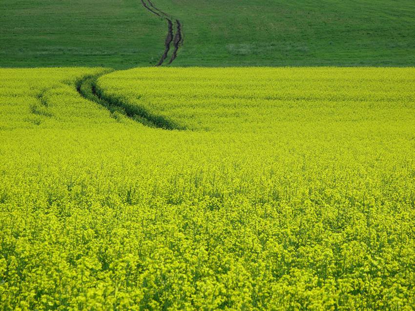 ???, ???? ????? ???? ???!