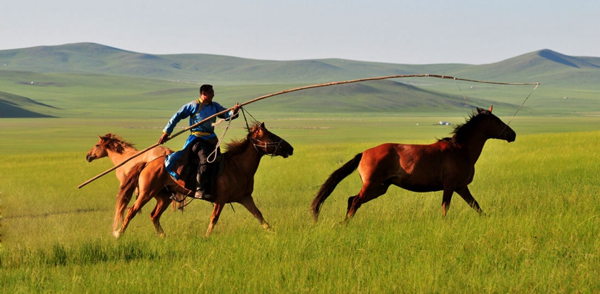 ???, ???? ????? ???? ???!