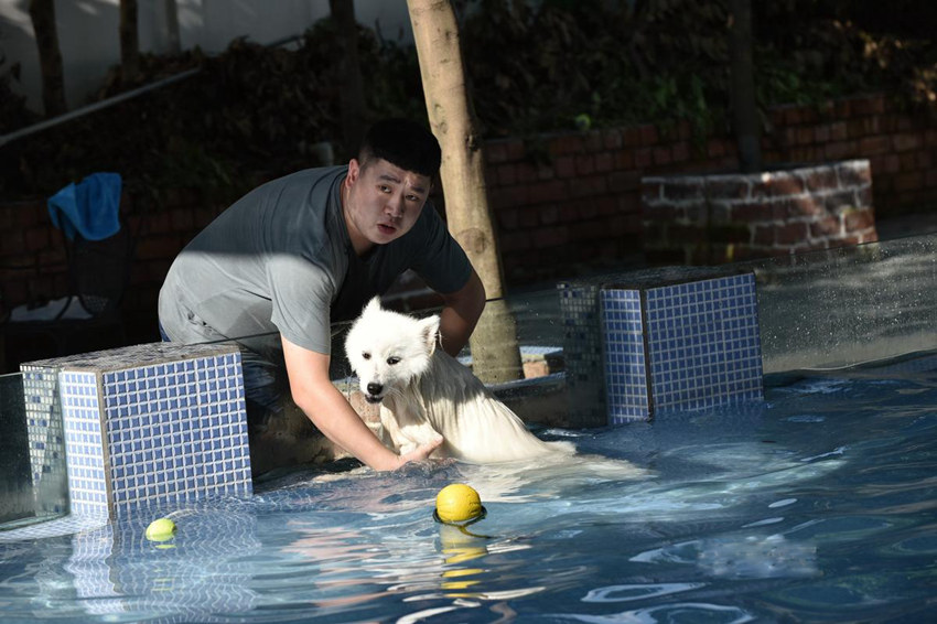 ??? ???? ??? ??, ?? ???