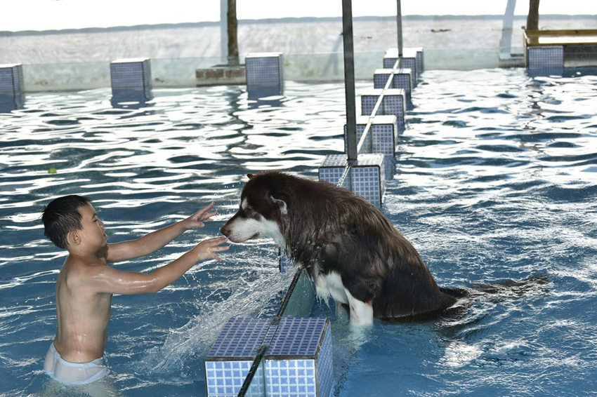 ??? ???? ??? ??, ?? ???