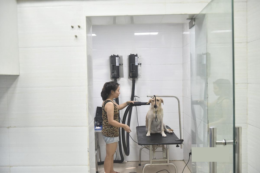 ??? ???? ??? ??, ?? ???