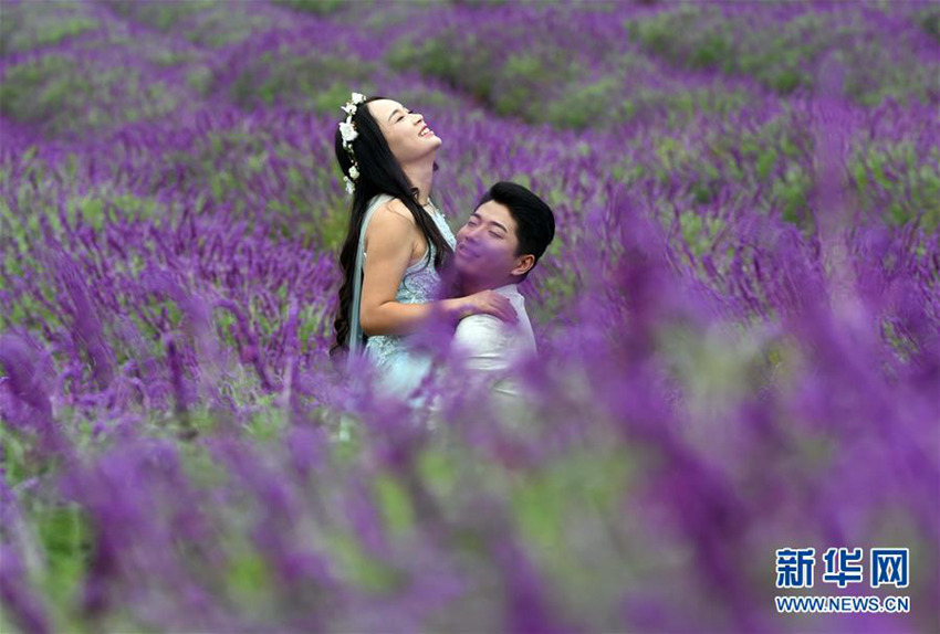 ?? ?? ????, ???? ??? ??