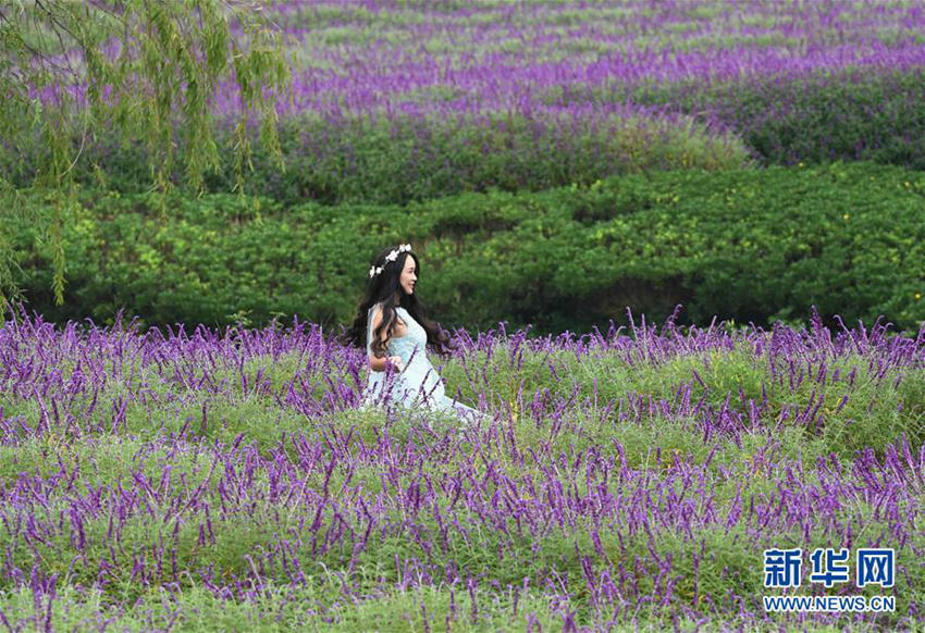 ?? ?? ????, ???? ??? ??