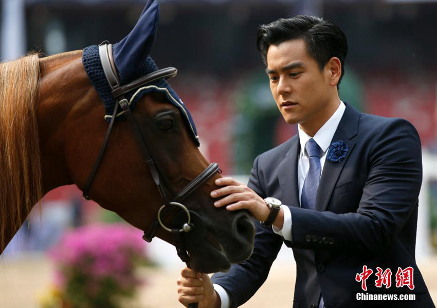 2016 ??? ?? ?? ????, ???? ??? ???