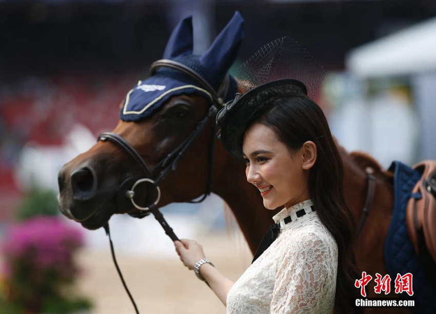 2016 ??? ?? ?? ????, ???? ??? ???