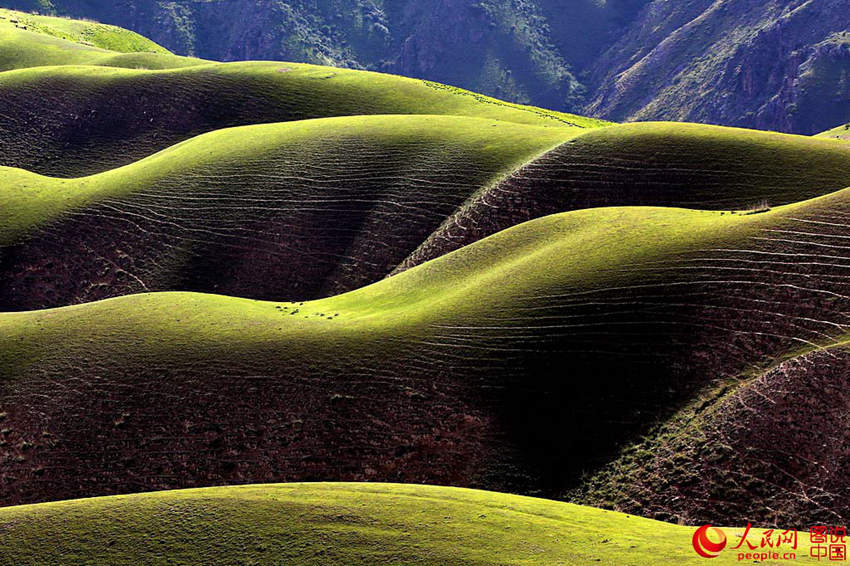 1?? 前 ??? ??? ???, ??? ???