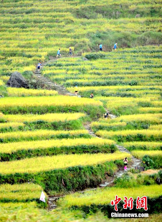 ?? ??? ? ??? ??, ??? ?? 300? ??