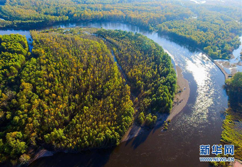 ?? ????, ???? ??? ??