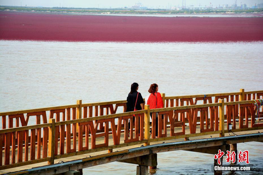 18km ??? ??? ?? ?! ??? ????? ??