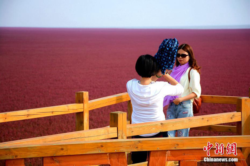 18km ??? ??? ?? ?! ??? ????? ??