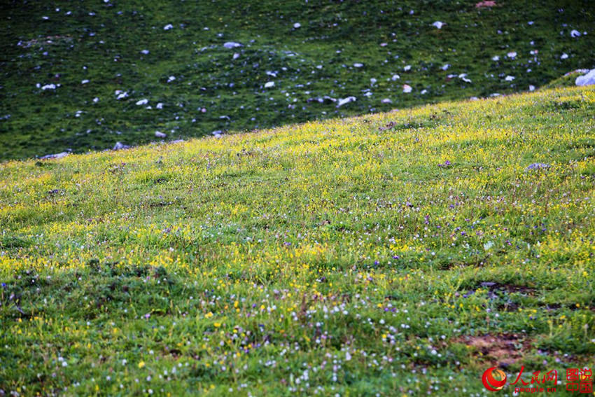 ‘???’?? ??? ??, 中 ?? ‘???’