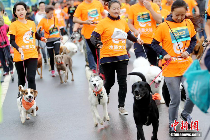 ?? ‘??? ?? ???’, ??? ??? ? ?? ??