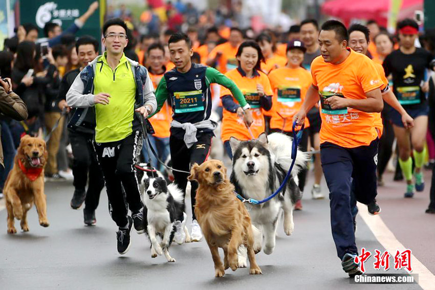 ?? ‘??? ?? ???’, ??? ??? ? ?? ??