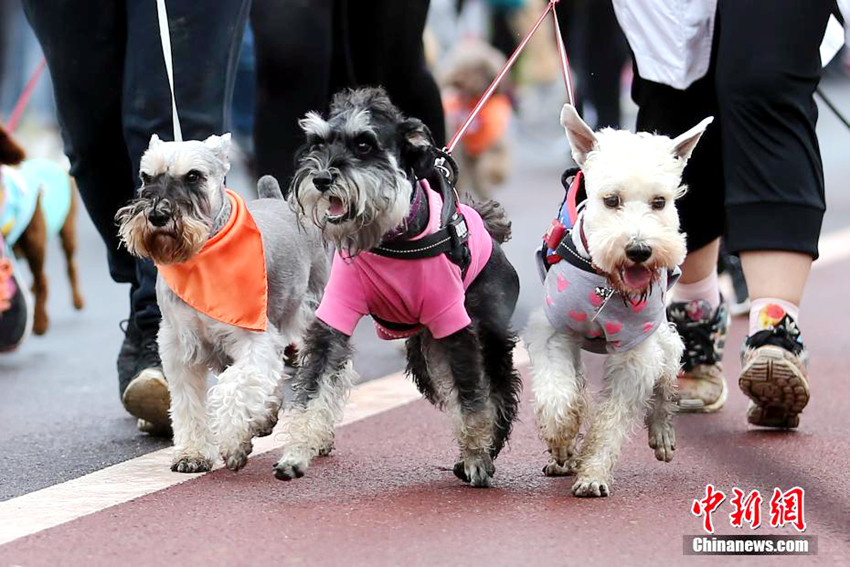 ?? ‘??? ?? ???’, ??? ??? ? ?? ??