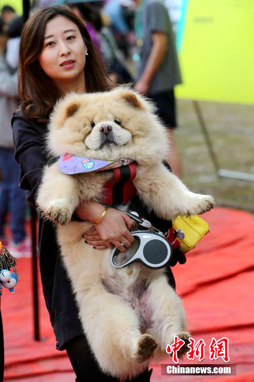 ?? ‘??? ?? ???’, ??? ??? ? ?? ??