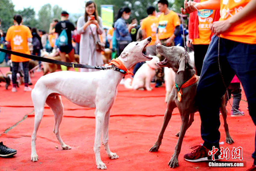 ?? ‘??? ?? ???’, ??? ??? ? ?? ??