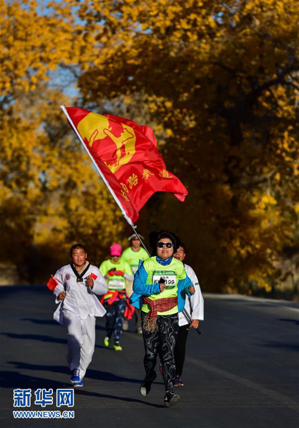 ???? ??? 2016 ???????, ???? ????